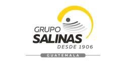 GRUPO SALINAS_Grupo Salinas